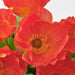  Digital Shoppy Realistic Artificial Potted Plant in Poppy Red, Perfect for Indoor or Outdoor Use, 9 cm  30476157