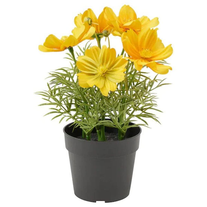 Digital Shoppy IKEA Artificial Potted Plant, Indoor/Outdoor/Cosmos Yellow, 9 cm (3 ½ ")  40506494