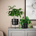 A versatile IKEA plant pot that can be used for different types of plants 90496850