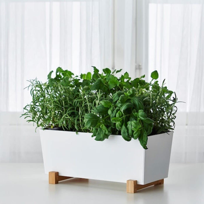 A versatile IKEA plant pot that can be used for different types of plants 40289495