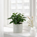 A durable IKEA plant pot that's easy to clean and maintain 50475779