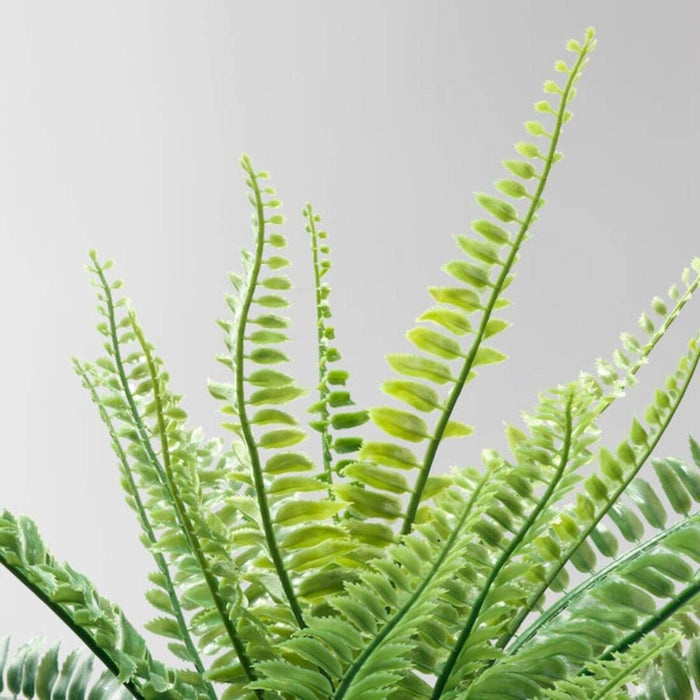 digital shoppy Add a touch of nature to your space with the lifelike IKEA artificial potted fern, ideal for in/outdoor use, 9 cm  10433946 