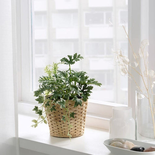  Digital Shoppy IKEA Artificial Potted Plant, in/Outdoor/Arrangement Green, 12 cm (4 ¾ "), Realistic-looking artificial plant with delicate stems and vibrant green leaves, great for decoration. 