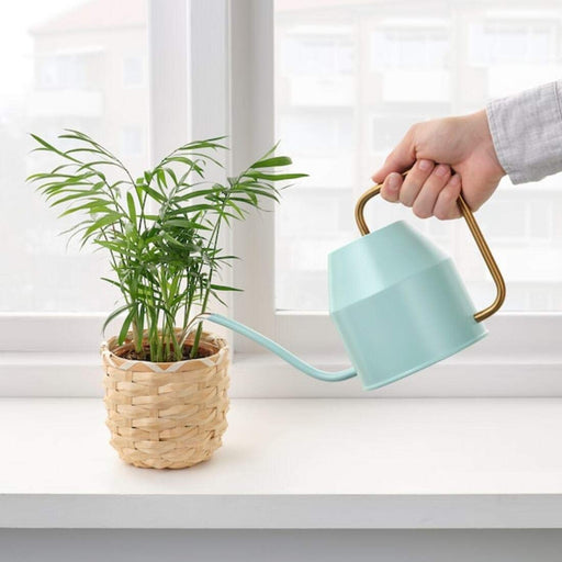  Small green plastic watering can with a removable sprinkle head - great for beginners 60476014
