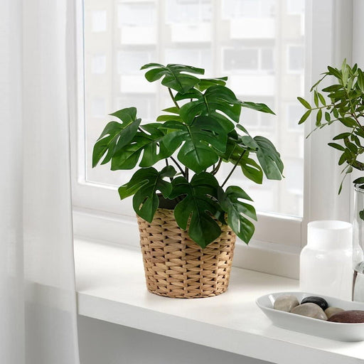 digital shoppy Realistic artificial Monstera potted plant with lush green leaves and a sturdy stem, perfect for bringing a touch of the tropics to your space  30493345