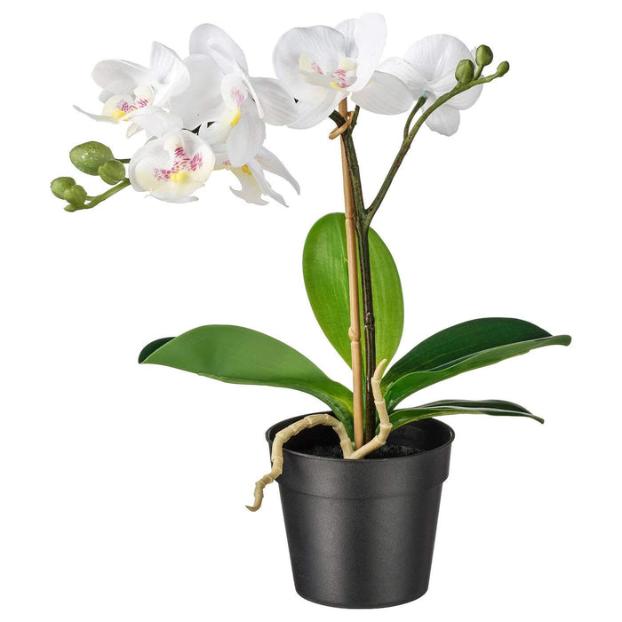 Digital Shoppy IKEA Artificial Potted Plant, 9 cm (3 ½") - artificial plant with pot online , natural looking artificial plants ,artificial plant for home decoration, artificial trees with pots-80294937