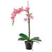 IKEA Artificial Potted Plant, Orchid Pink, 12 cm (4 ¾") - natural-looking-artificial-plants-pot-and-trees-indoor-for-home-40294939