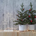 digital shoppy A lifelike artificial potted Christmas tree from IKEA, perfect for both indoor and outdoor decoration during the holiday season. 10474852