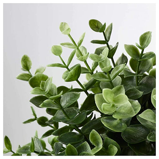 Digital Shoppy ikea plant close-up of a realistic artificial potted succulent plant, showcasing its long-lasting durability. 60375166