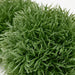 Low-maintenance artificial plant ball from IKEA, perfect for busy households 20506471 