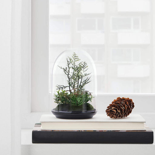 IKEA Artificial Terrarium, Dome, 15 cm (6")natural-looking-artificial-plants-pot-and-trees-indoor-for-home- 50461126