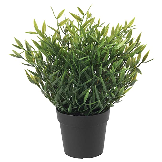 Digital Shoppy Artificial Clusia Plant in 12 cm Pot from IKEA - a realistic plant with glossy green leaves, suitable for both indoor and outdoor use. 
