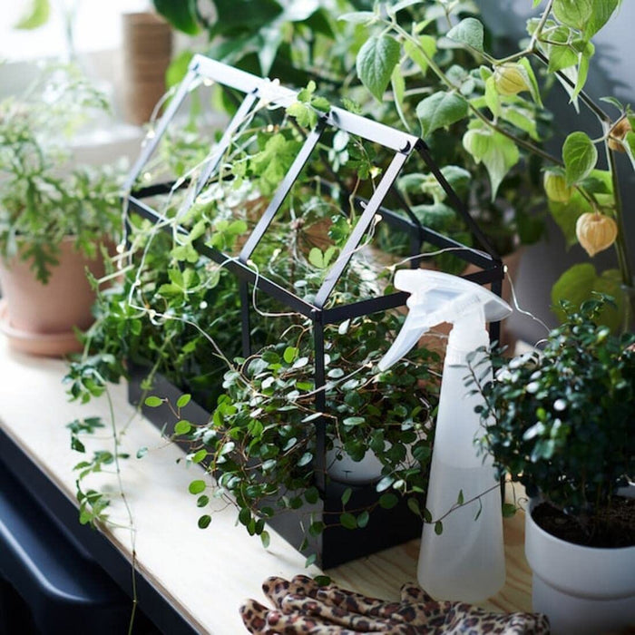 Elevate your home decor with the sleek and stylish IKEA Greenhouse Decoration.