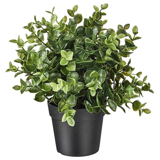 Digital Shoppy IKEA An assortment of low-maintenance artificial potted plants in various sizes and shapes, ideal for creating an indoor garden. 60375166