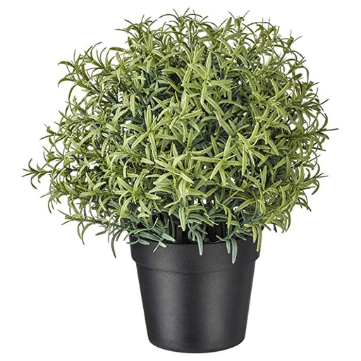 Digital Shoppy IKEA Artificial Rosemary Potted Plant, 9 cm - A realistic-looking artificial plant with green, needle-like leaves and brown stems, placed in a small black pot. 