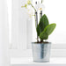 A decorative IKEA plant pot for indoor use
