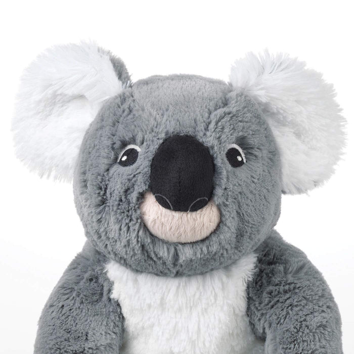 The IKEA Soft Toy Koala being used as a prop in a classroom, as the teacher explains about Australian animals.