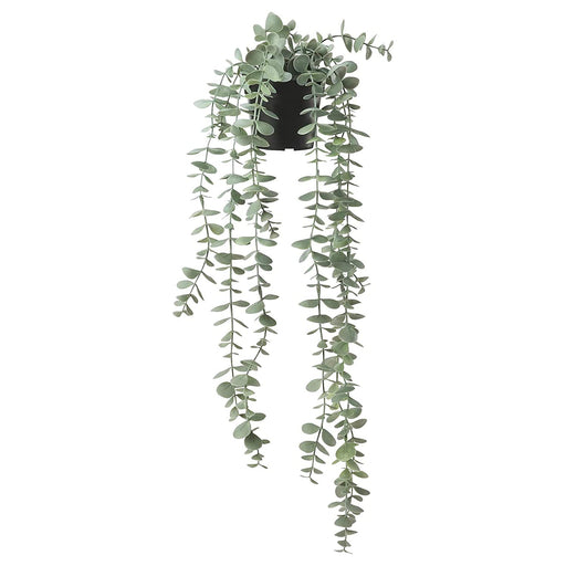 Digital Shoppy A lifelike artificial eucalyptus plant from IKEA, suitable for hanging indoors or outdoors, measuring 9 cm in length.  - digitalshoppy.in