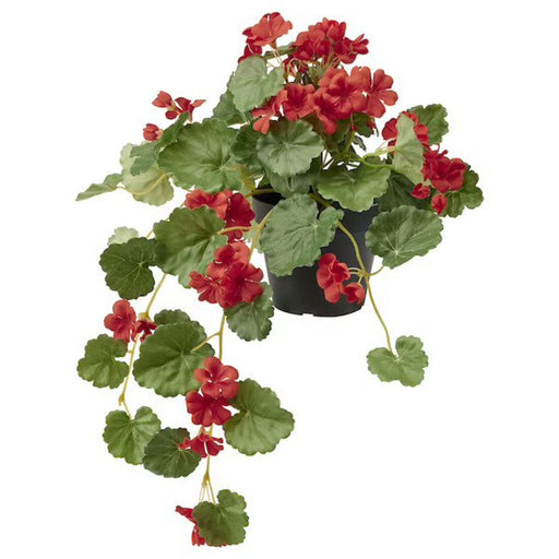 Digital Shoppy Bring the beauty of nature indoors with the realistic and easy-to-care-for IKEA Artificial Geranium Potted Plant in Red, 12 cm.  70506478