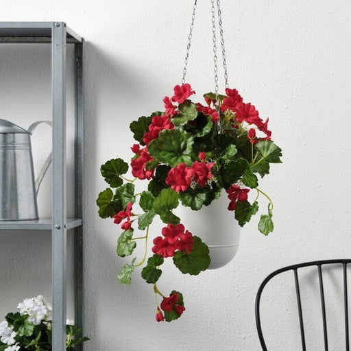 Digital Shoppy Create a cozy and welcoming environment with the lifelike and low-maintenance IKEA Artificial Geranium Potted Plant in Red, 12 cm  70506478