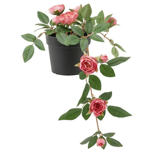 Digital Shoppy Realistic IKEA Artificial Potted Plant in Rose/Hanging Pink, 9 cm - perfect for indoor or outdoor decoration. -digital-shoppy-price, online, 60506493