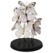 IKEA's Butterfly Decoration, a delicate and naturalistic addition to any decor 20506640