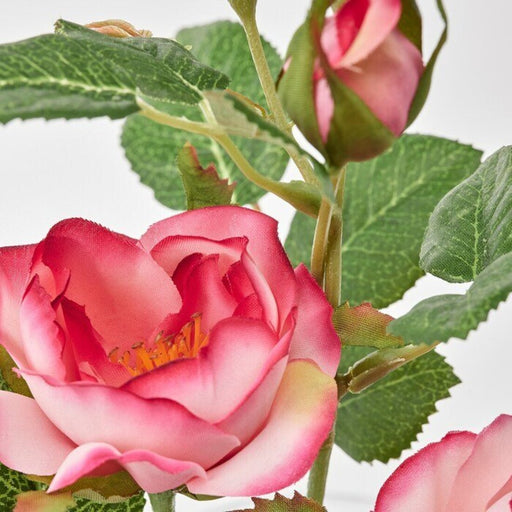 Digital Shoppy IKEA Artificial flower,Artificial Flowers For Decoration,Artificial Flowers For Online, in/outdoor/Rose pink, 40 cm (15 ¾ ") 80508392
