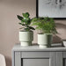 A durable IKEA plant pot that's easy to clean and maintain 20505424