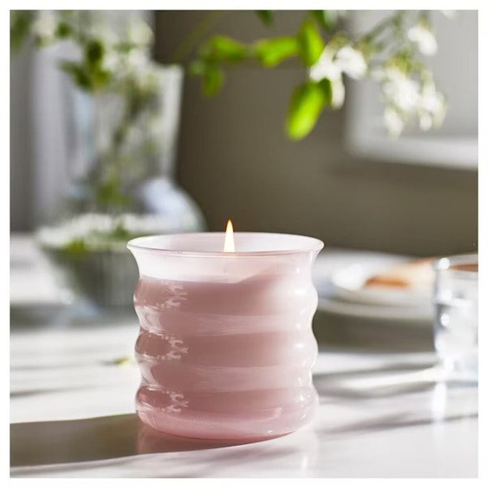 Digital Shoppy IKEA Scented candle in glass, Jasmine/pink, 50 hrscented candle, decoration candle, scented candle-40502151