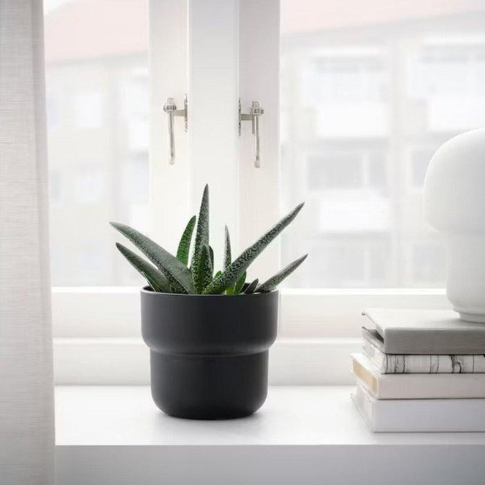 indoor plant pots ikea IKEA FÖRENLIG Plant Pots-Indoor Gardening Made Easy