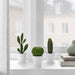 ikea-FEJKA-artificial-potted-plant-with-pot-set-of-3-in-outdoor-cactus-6-cm-2-available-low-price-indoor-outdoor-digital-shoppy-50522993
