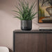 Digital Shoppy IKEA Plant Pot, plant pot decoration, plant pot price, plant pot online in/Outdoor Dark Grey 12 cm 20496844 20496863   