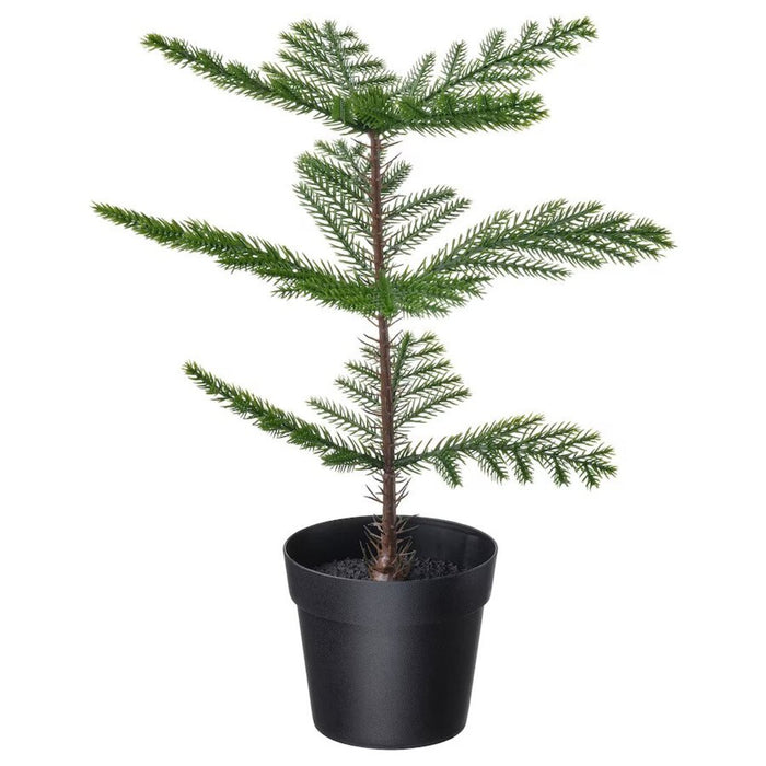 Digital Shoppy Realistic artificial Norfolk Island Pine potted plant - perfect for indoor and outdoor use - available at IKEA  70523067