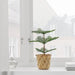 Digital Shoppy Eye-catching artificial Norfolk Island Pine plant - perfect for creating natural-looking arrangements - available at IKEA 70523067