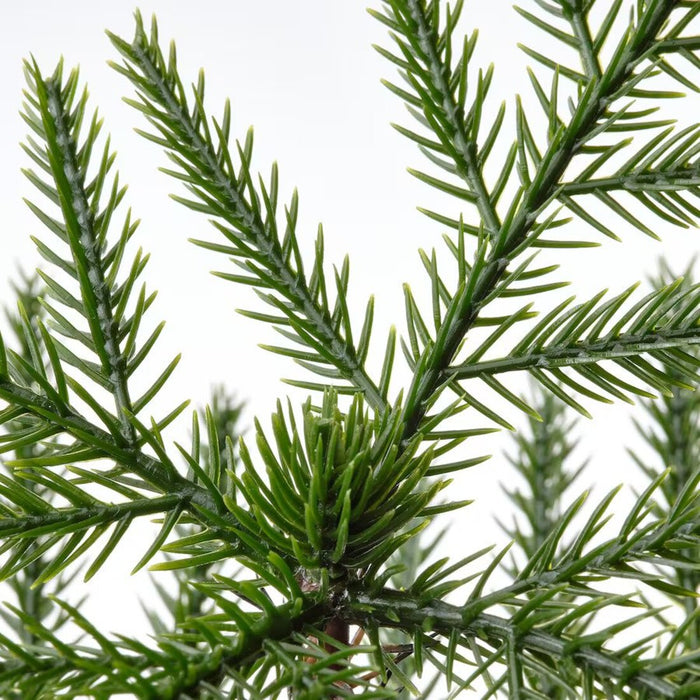 Digital Shoppy Upgrade your decor with IKEA's lifelike artificial Norfolk Island Pine potted plant - perfect for home or office use 70523067