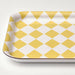 A rectangular tray with raised edges and a smooth surface, made of clear plastic.40542232
