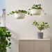 Digital Shoppy An artificial Geranium potted plant in light pink, featuring realistic-looking leaves and measuring 9 cm, designed for hanging and ideal for adding a touch of color to indoor and outdoor spaces, from IKEA.  80538006