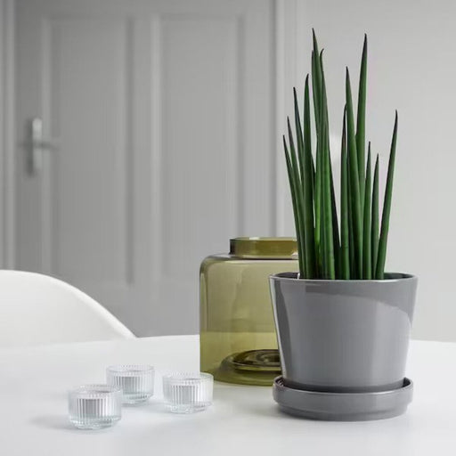 A small, round plant pot with a matte finish. 70508439
