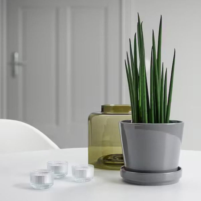 A small, round plant pot with a matte finish. 70508439