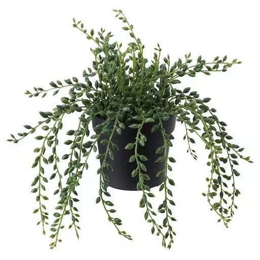 Digital Shoppy A lifelike artificial string of beads plant in a white pot, measuring 9 cm, suitable for both indoor and outdoor use, from IKEA. -decoration-40395325