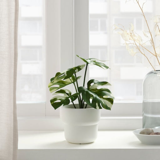 Digital Shoppy Transform your home into a jungle paradise with IKEA's lifelike artificial potted Monstera plant.  (3 ½ ") 