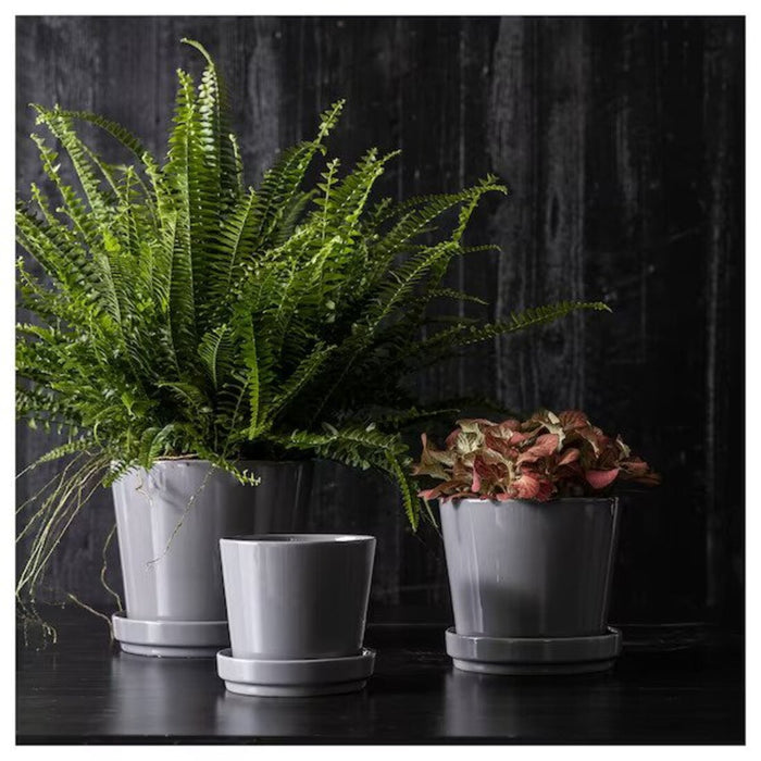 A modern plant pot with a matte finish. 70508439