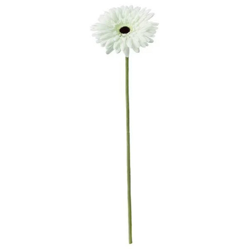 Digital Shoppy IKEA Artificial flower, Gerbera/white 50 cm (19 ¾ ") ikea-artificial-flower-gerbera-white50-cm-artificial flowers- for home -decoration-artificial flowers wholesale-artificial flowers online price-Digital Shoppy-20409781 