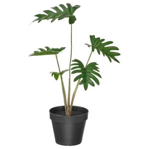 Digital Shoppy An artificial philodendron plant in a small pot, measuring 12 cm in height, suitable for both indoor and outdoor use." 30522994    