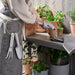 IKEA 3-piece gardening set, in/outdoor light Grey/light Green price online plants pots protection digital shoppy 80505379