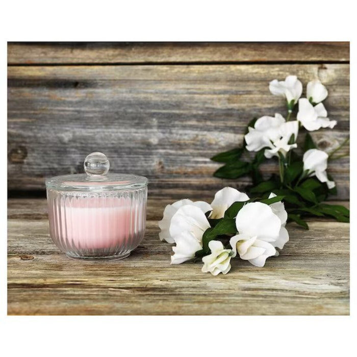 Digital Shoppy IKEA Scented candle in glass, Sweet pea/light orange, 9 cm (3 ½ "),online-scented-candles-decorative-scented-candles-candles-70372657