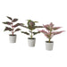 Digital Shoppy IKEA Artificial potted plant with pot, set of 3, in/outdoor Painted nettle, 6 cm , Artificial, plant, replica, (2 ¼ ")  plant-decor-event-indoor-outdoor-online-low-price-digital-shoppy-greenery, decoration.-30522970