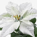 Digital Shoppy Hassle-free artificial white poinsettia plant with lifelike appearance from IKEA, ideal for indoor or outdoor decor. 50496630