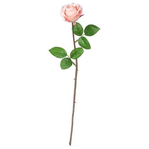 Digital Shoppy IKEA Artificial flower, Rose/pink, 52 cm (20 ½ ")     home-decoration-flower-indoor-outdoor-online-low-price