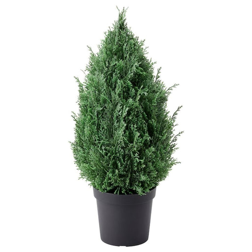 Digital Shoppy IKEA Artificial Potted Plant, in/Outdoor Cypress, 15 cm (6 ")-natural-looking-artificial-plants-pot-and-trees-indoor-for-home--digital-shoppy-80496624
